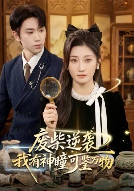 The Detective 剧照